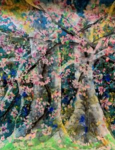 Cherry Blossom 3 by Padma-Shreela